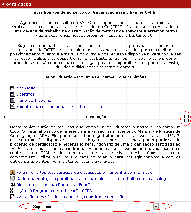 Exemplo com a programação de um curso com EAD da FATTO